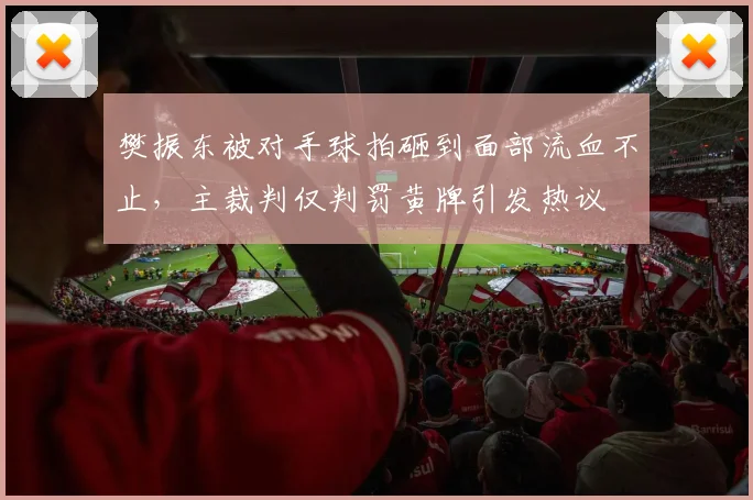 樊振东被对手球拍砸到面部流血不止，主裁判仅判罚黄牌引发热议